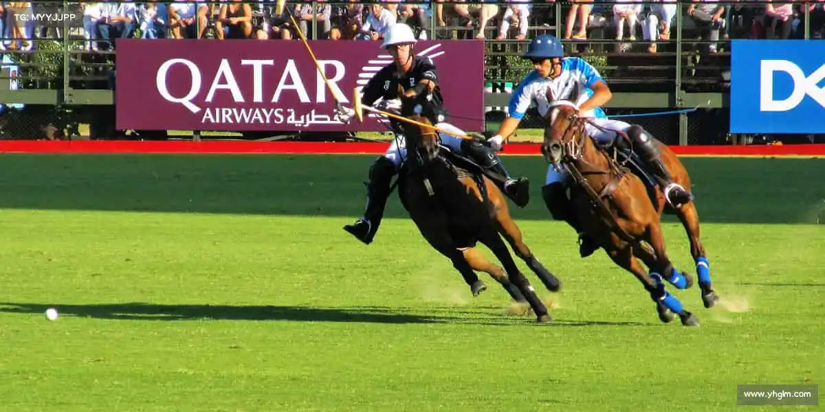 <strong>zoty中欧</strong>💦每一次呼吸都是拼搏的节奏，每一次进步都是成长的印记！动起来，更精彩！